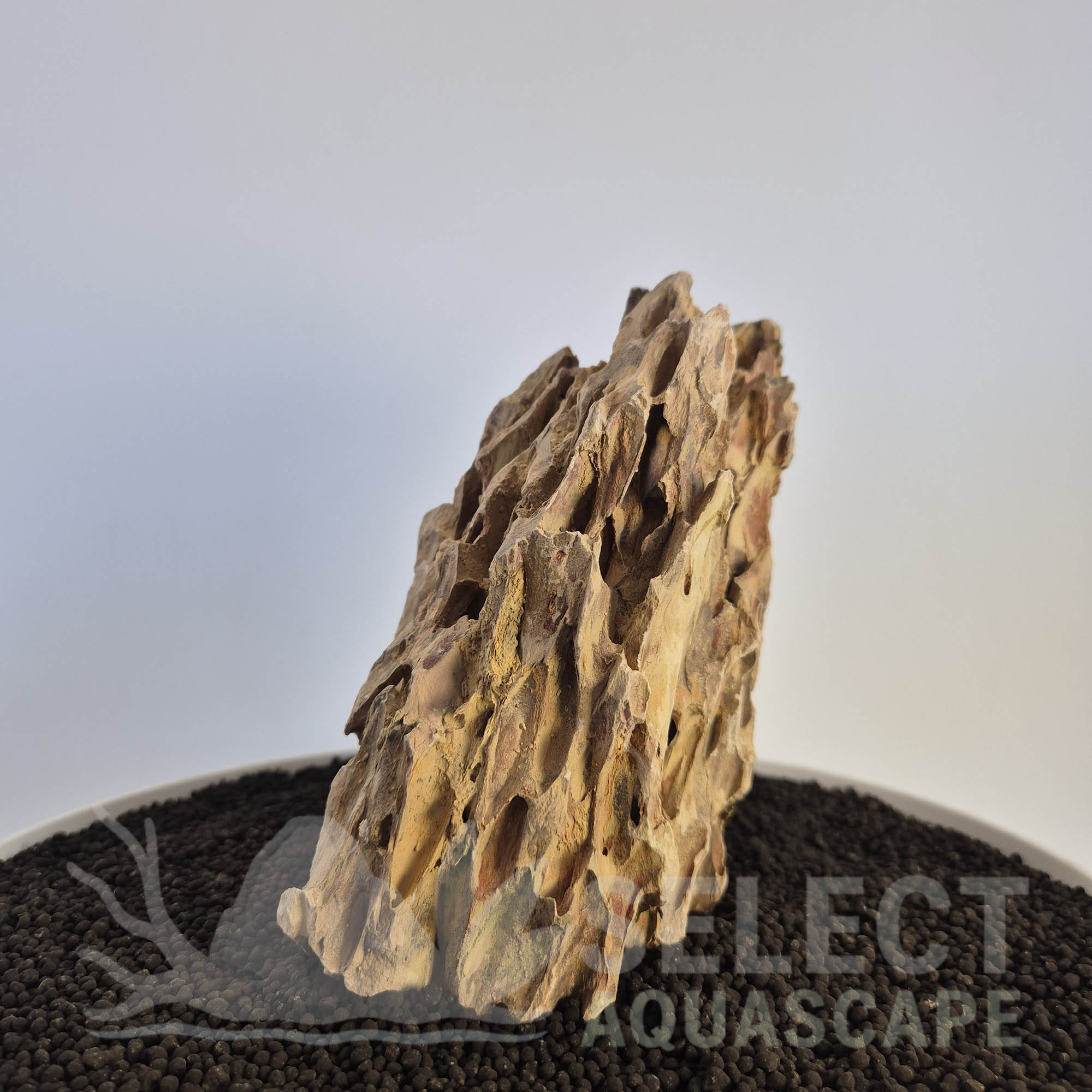 Select Piece of Natural Dragon Stone for Aquascape