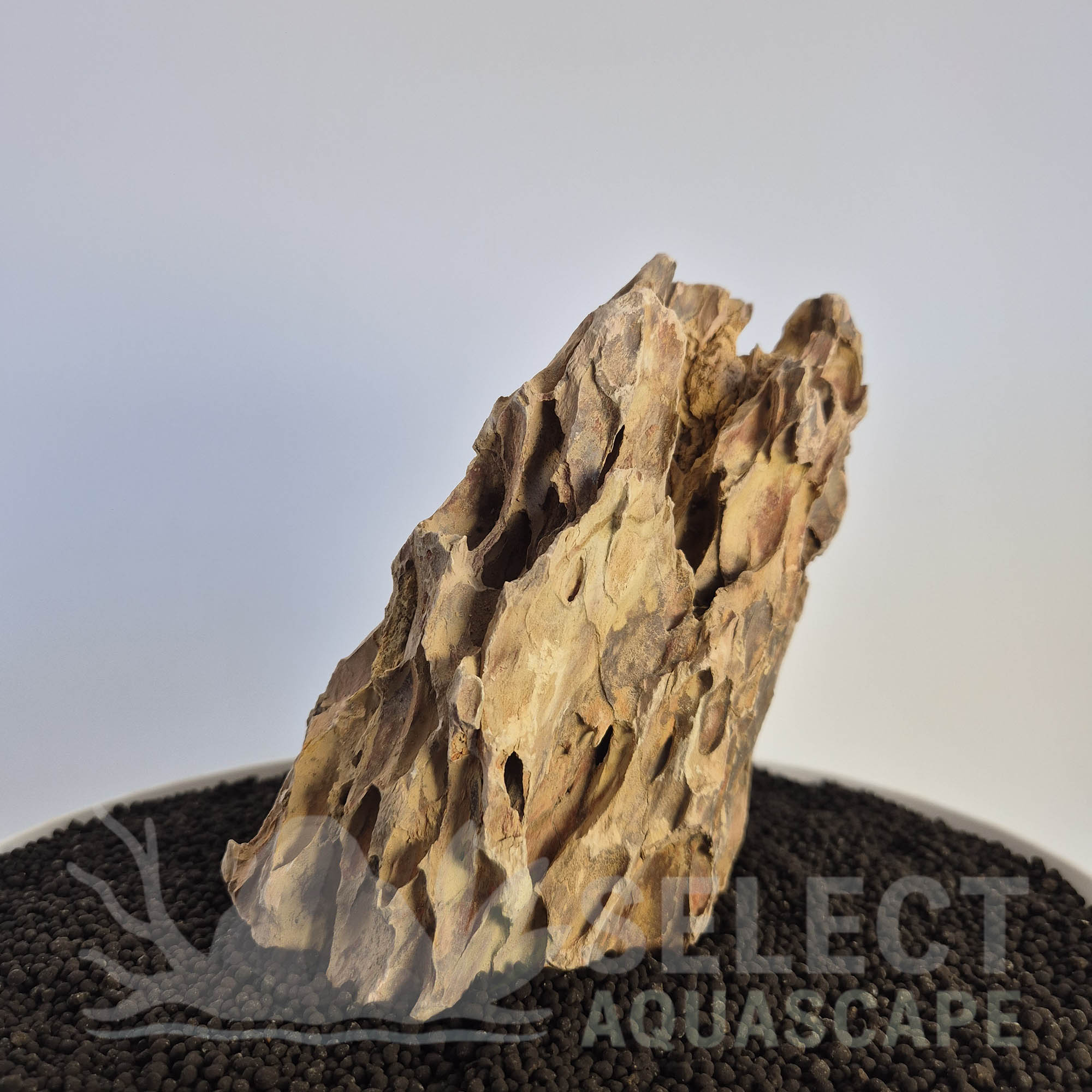 Select Piece of Natural Dragon Stone for Aquascape