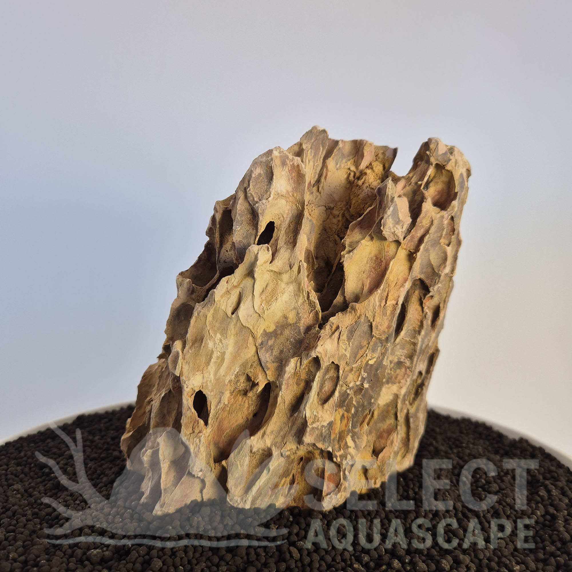 Select Piece of Natural Dragon Stone for Aquascape