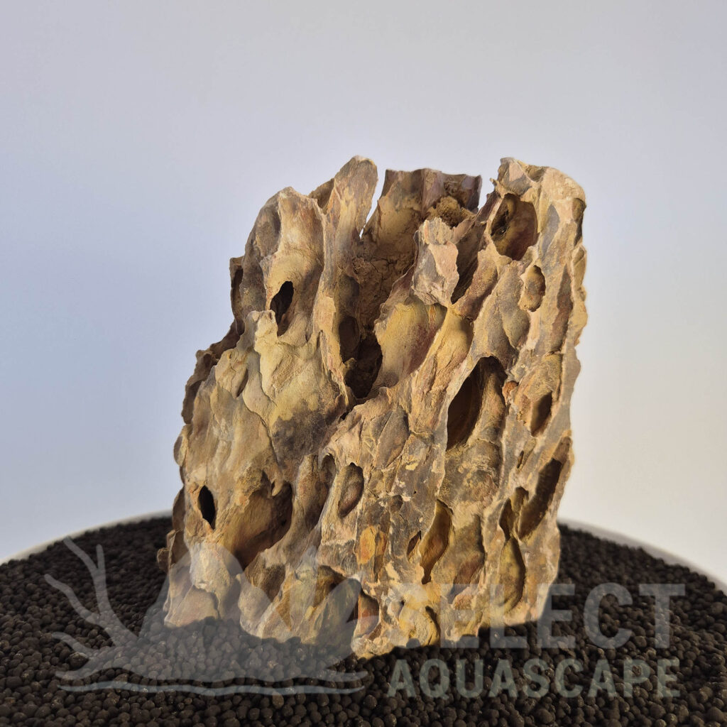 Select Piece of Natural Dragon Stone for Aquascape