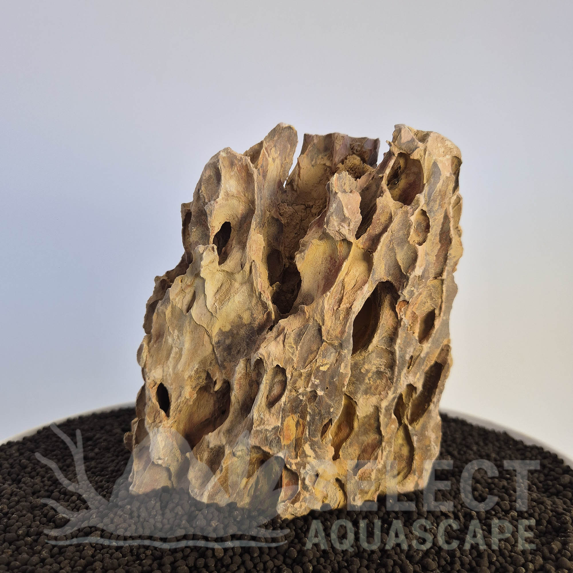 Select Piece of Natural Dragon Stone for Aquascape