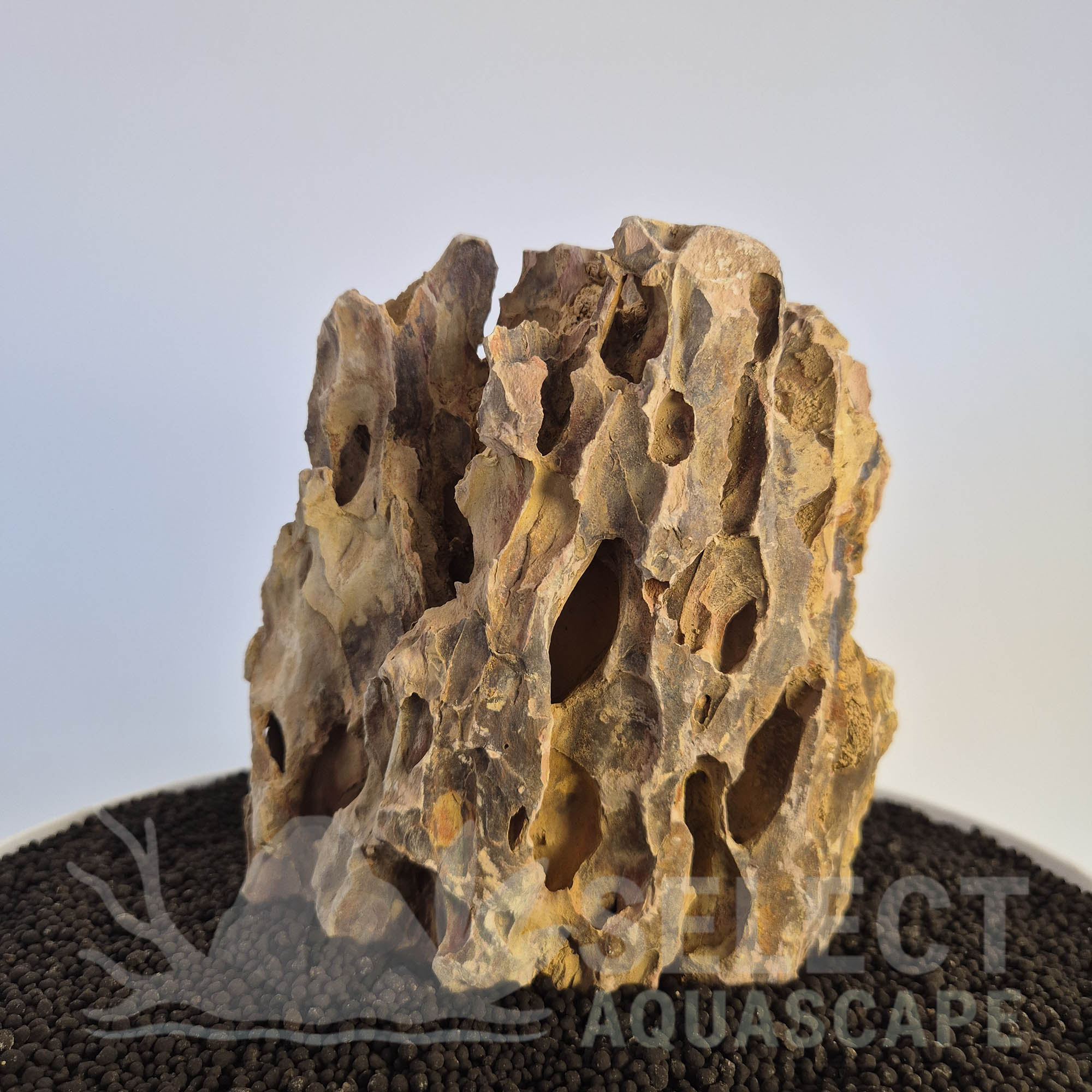 Select Piece of Natural Dragon Stone for Aquascape