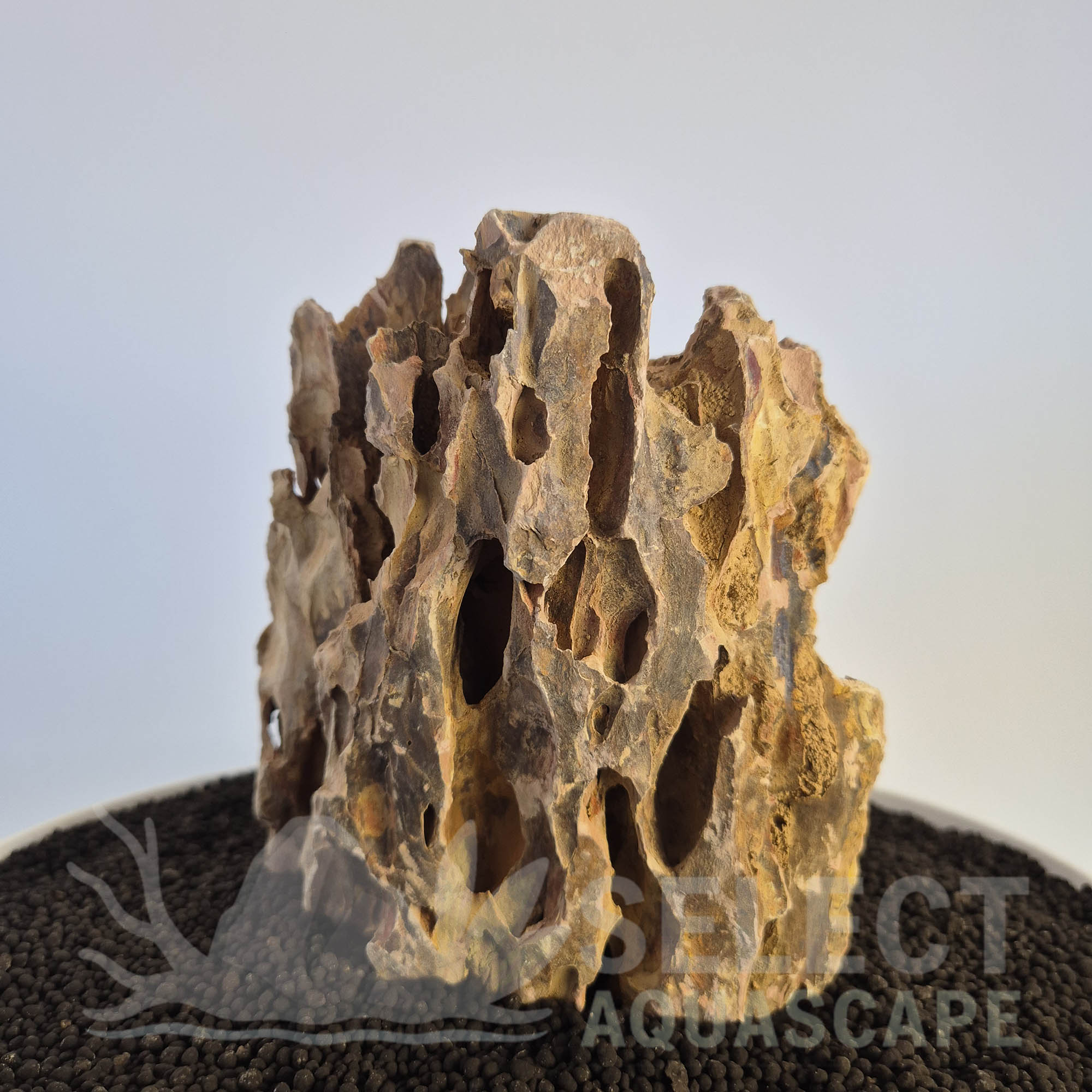 Select Piece of Natural Dragon Stone for Aquascape