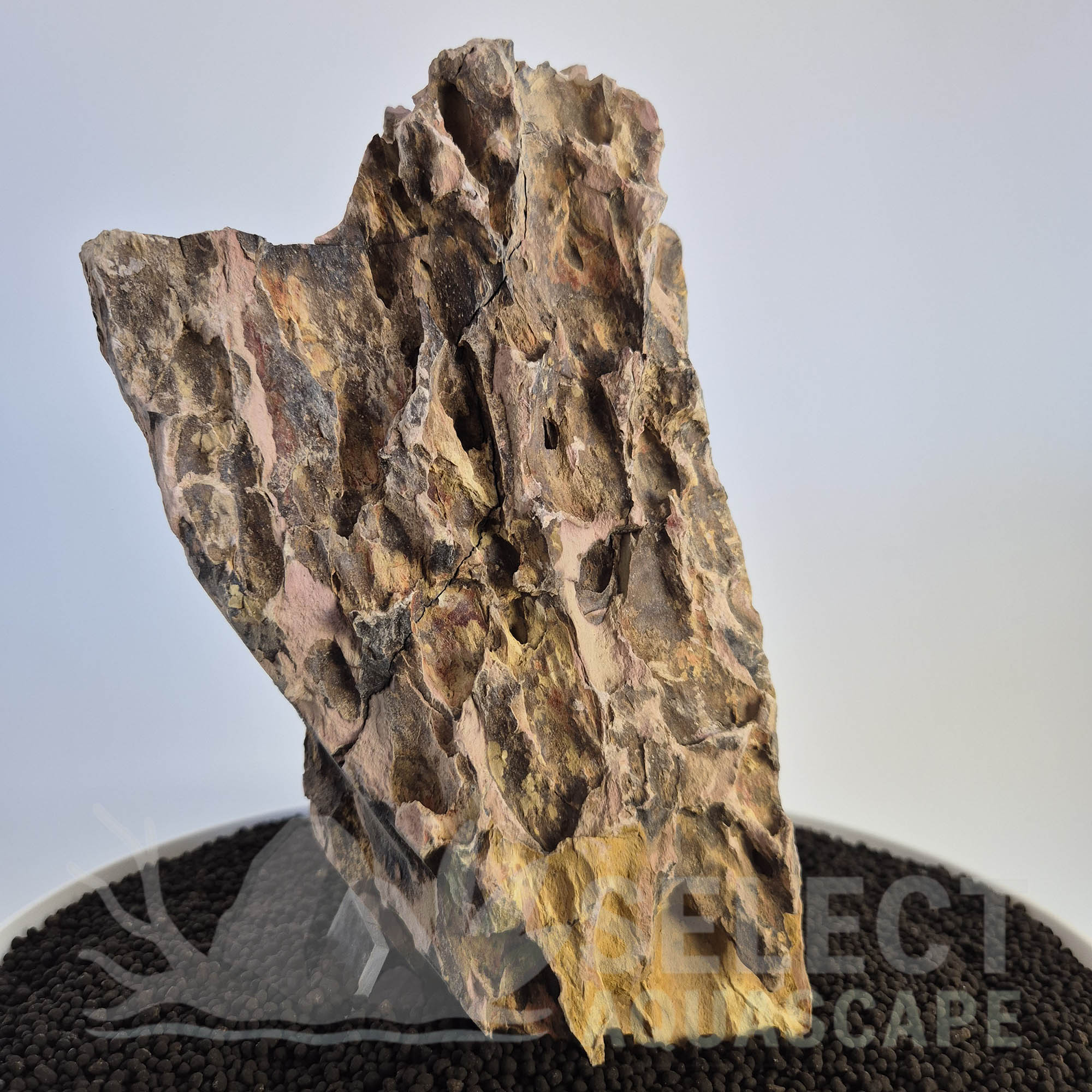 Select Piece of Natural Dragon Stone for Aquascape