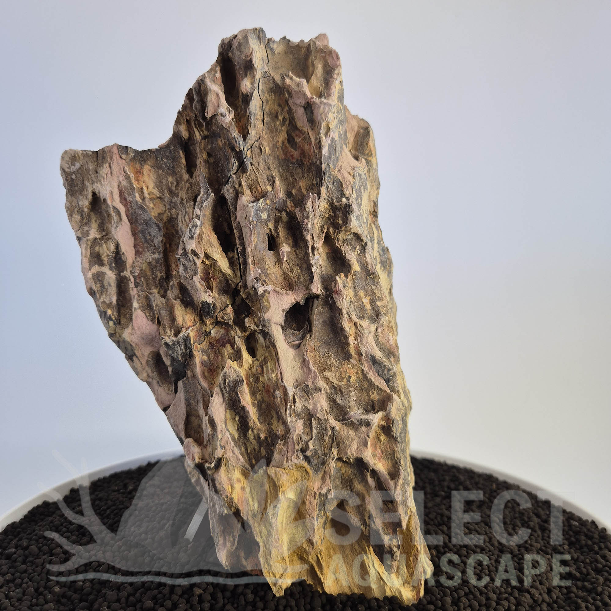 Select Piece of Natural Dragon Stone for Aquascape