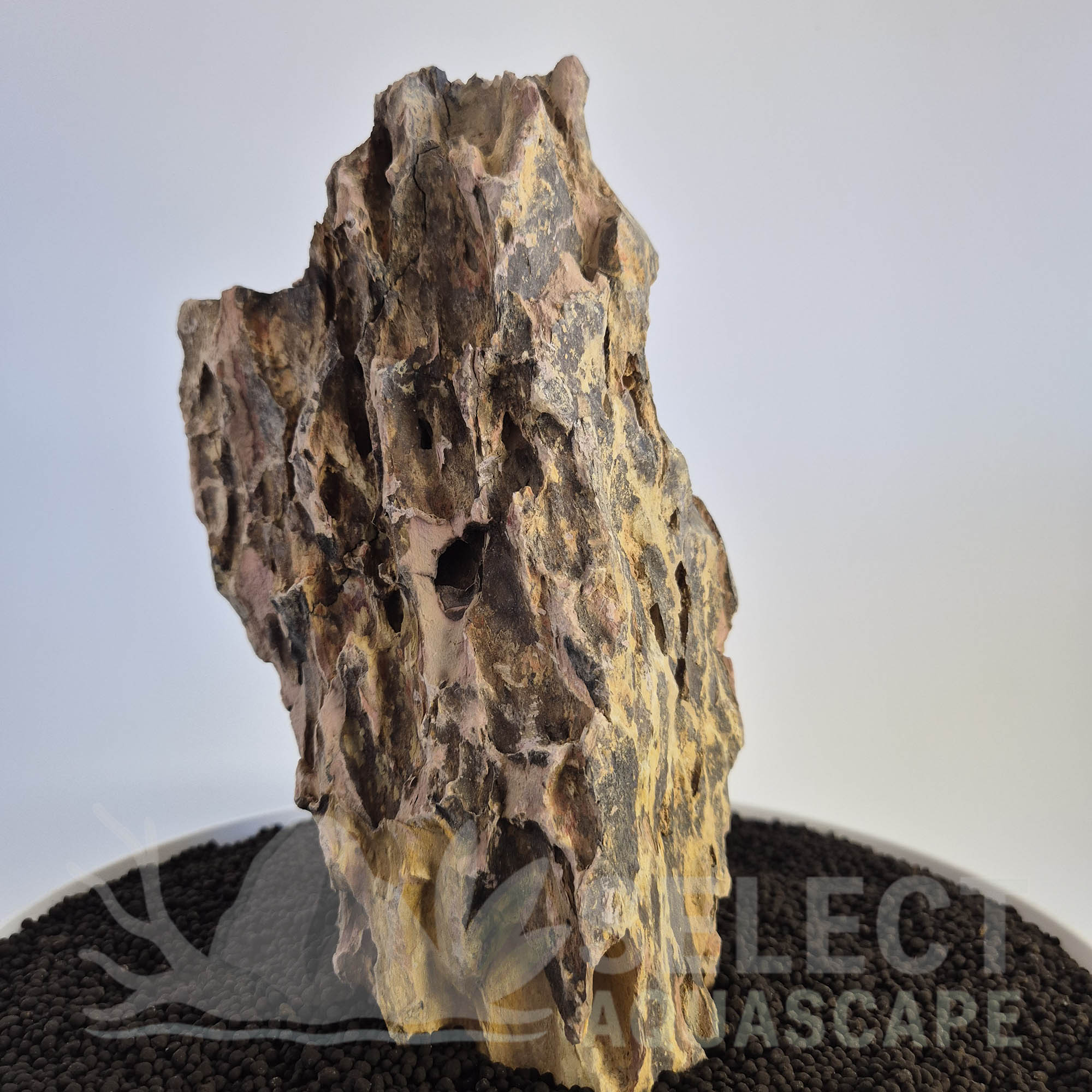 Select Piece of Natural Dragon Stone for Aquascape