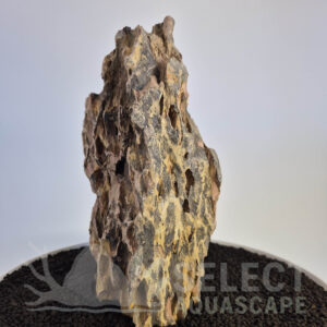 Select Piece of Natural Dragon Stone for Aquascape