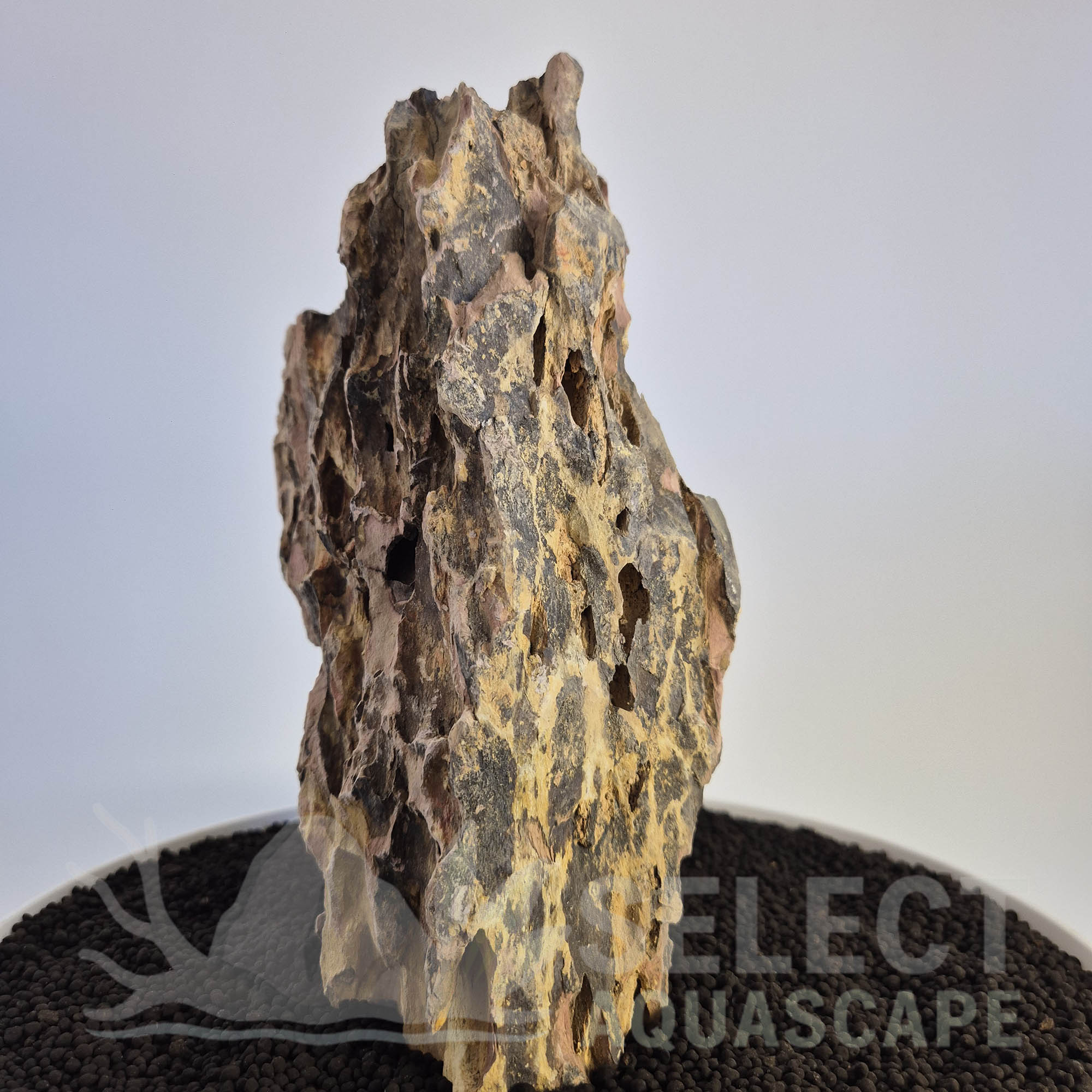 Select Piece of Natural Dragon Stone for Aquascape