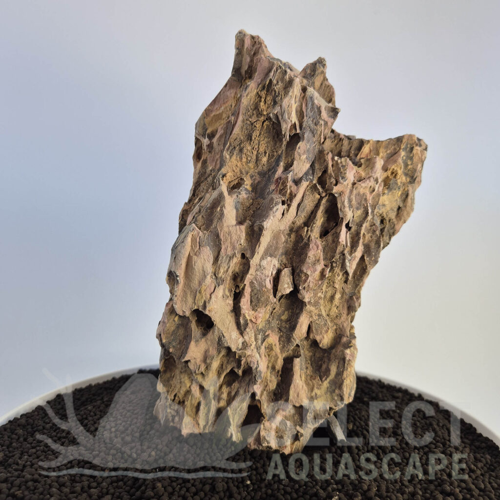 Select Piece of Natural Dragon Stone for Aquascape
