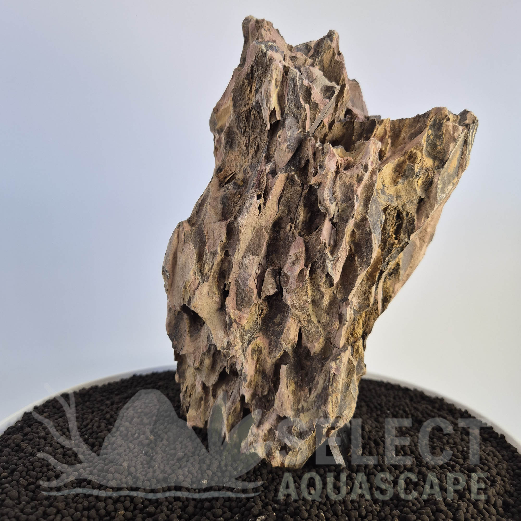 Select Piece of Natural Dragon Stone for Aquascape