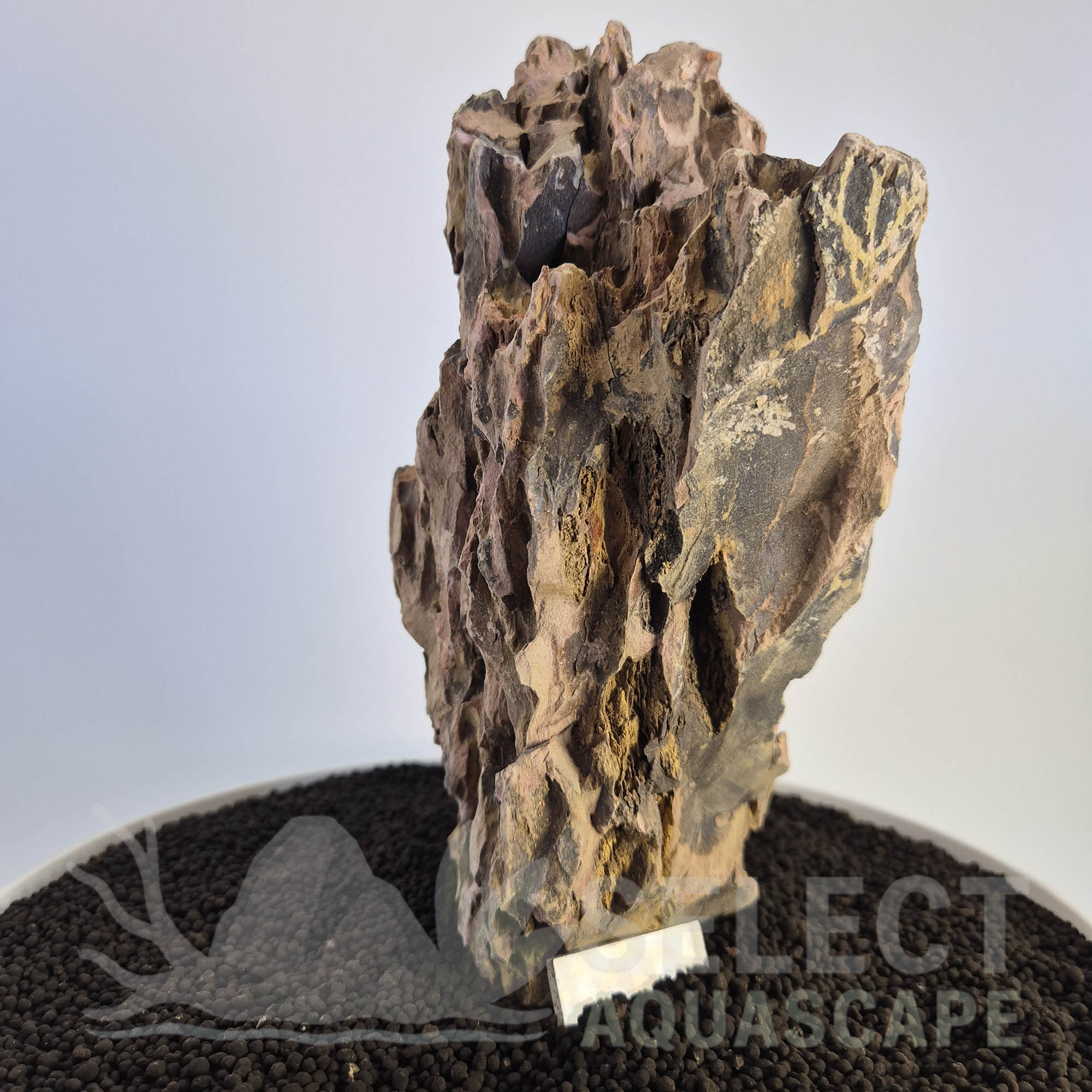 Select Piece of Natural Dragon Stone for Aquascape