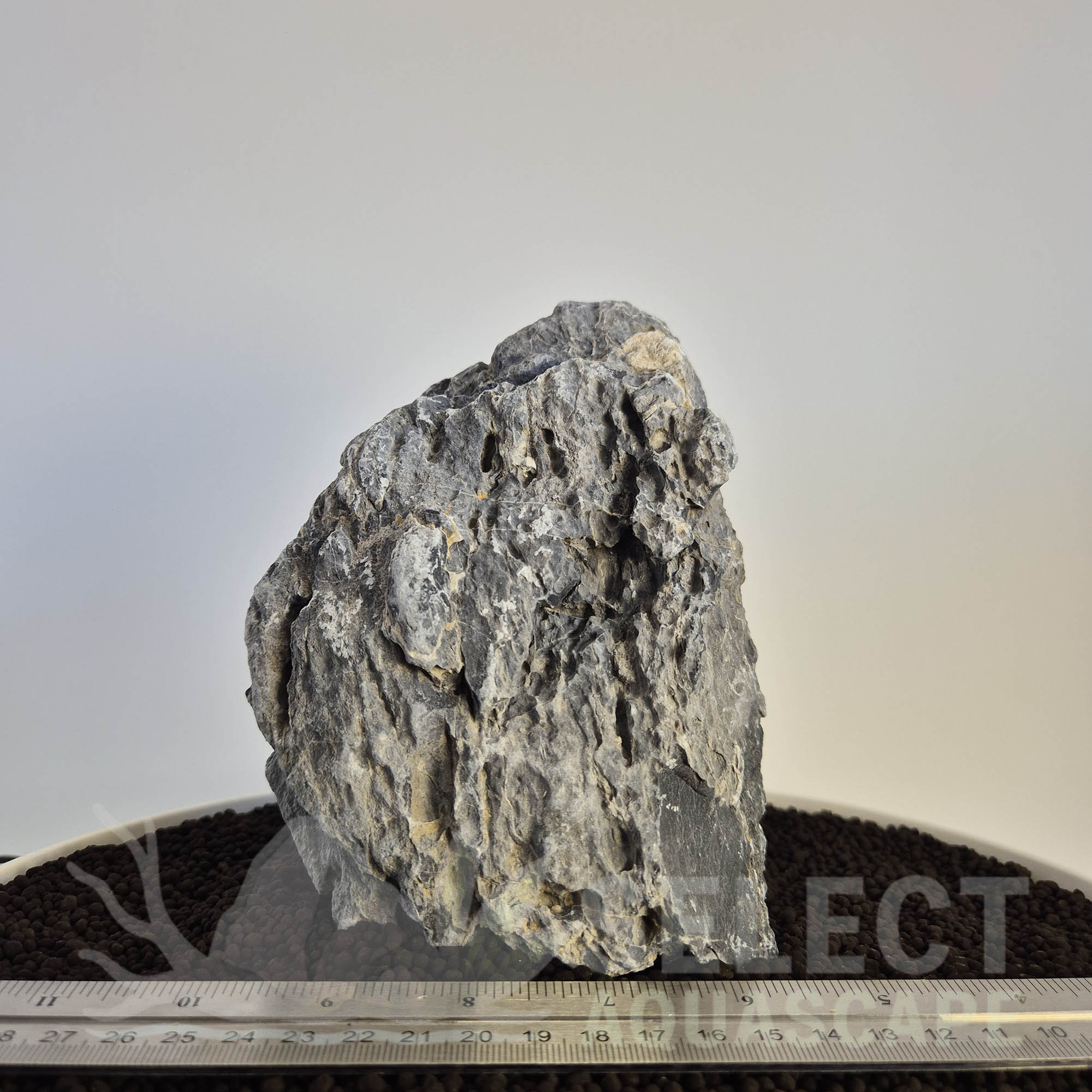 Select Piece of Natural Seriyu Stone for Aquascape