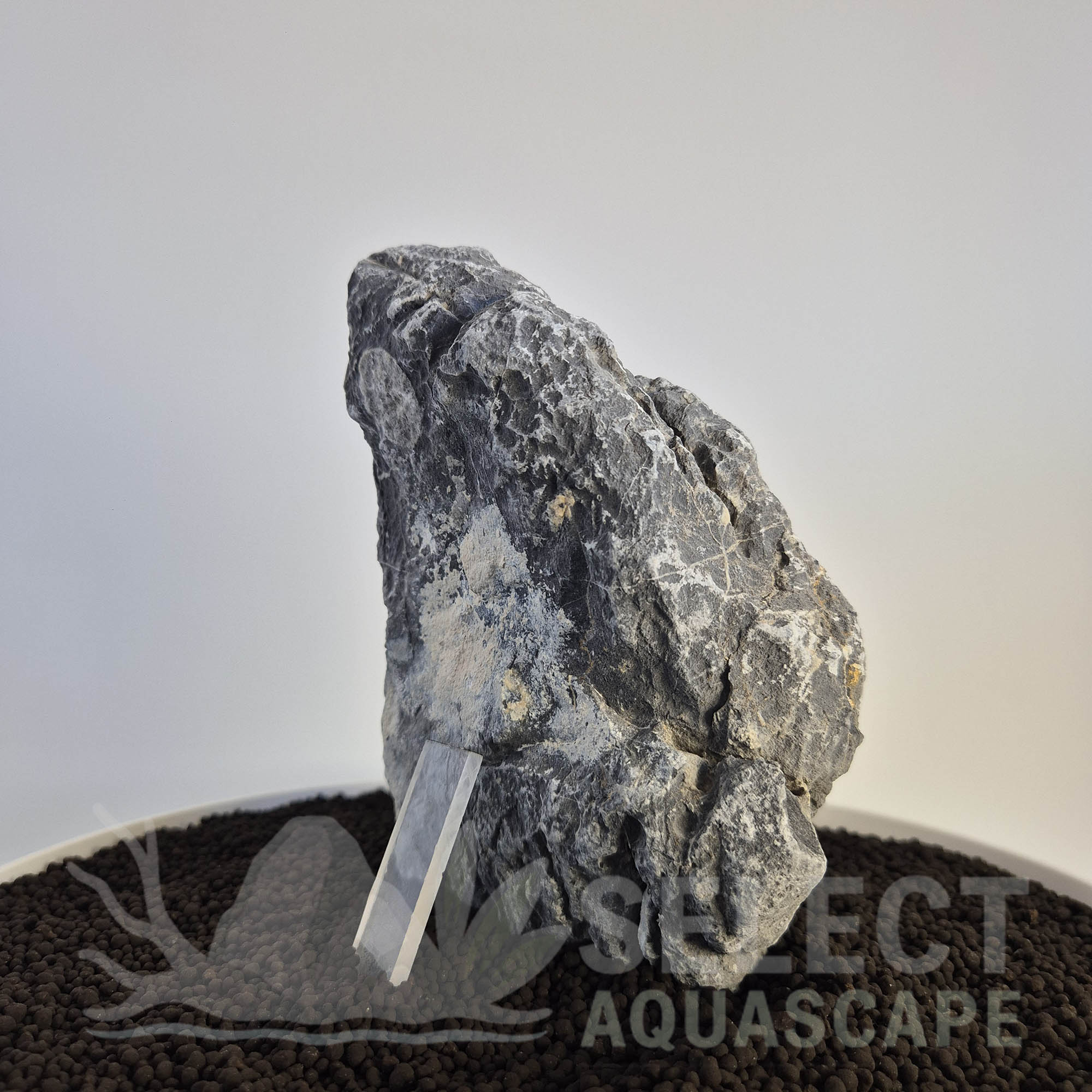 Select Piece of Natural Seriyu Stone for Aquascape
