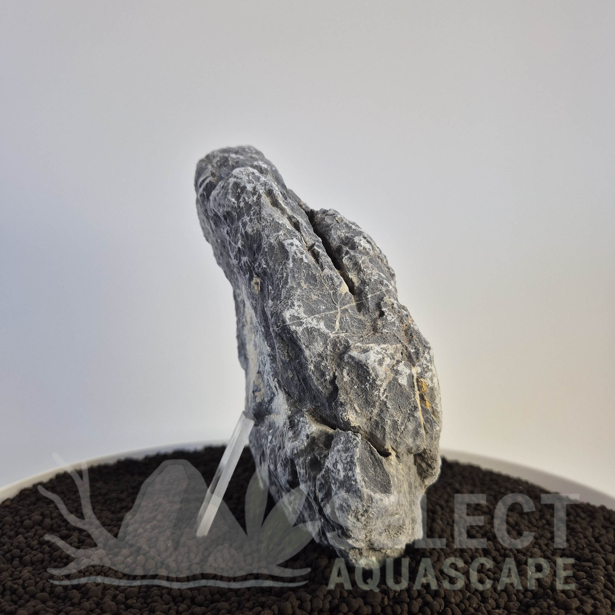 Select Piece of Natural Seriyu Stone for Aquascape