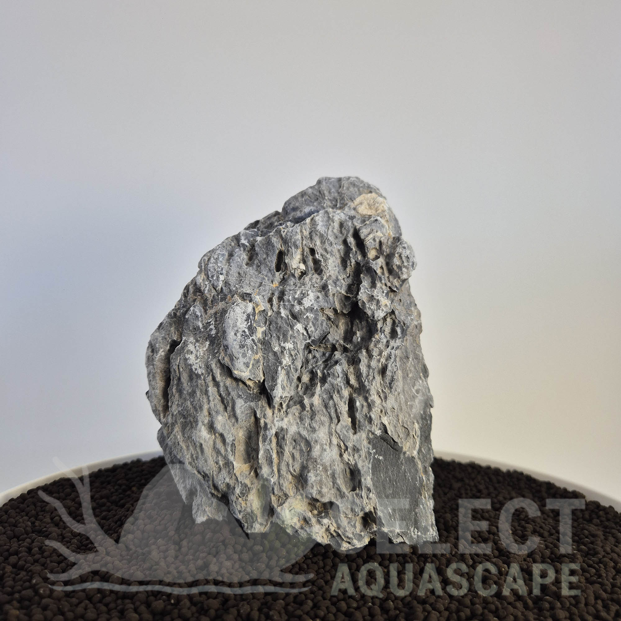 Select Piece of Natural Seriyu Stone for Aquascape