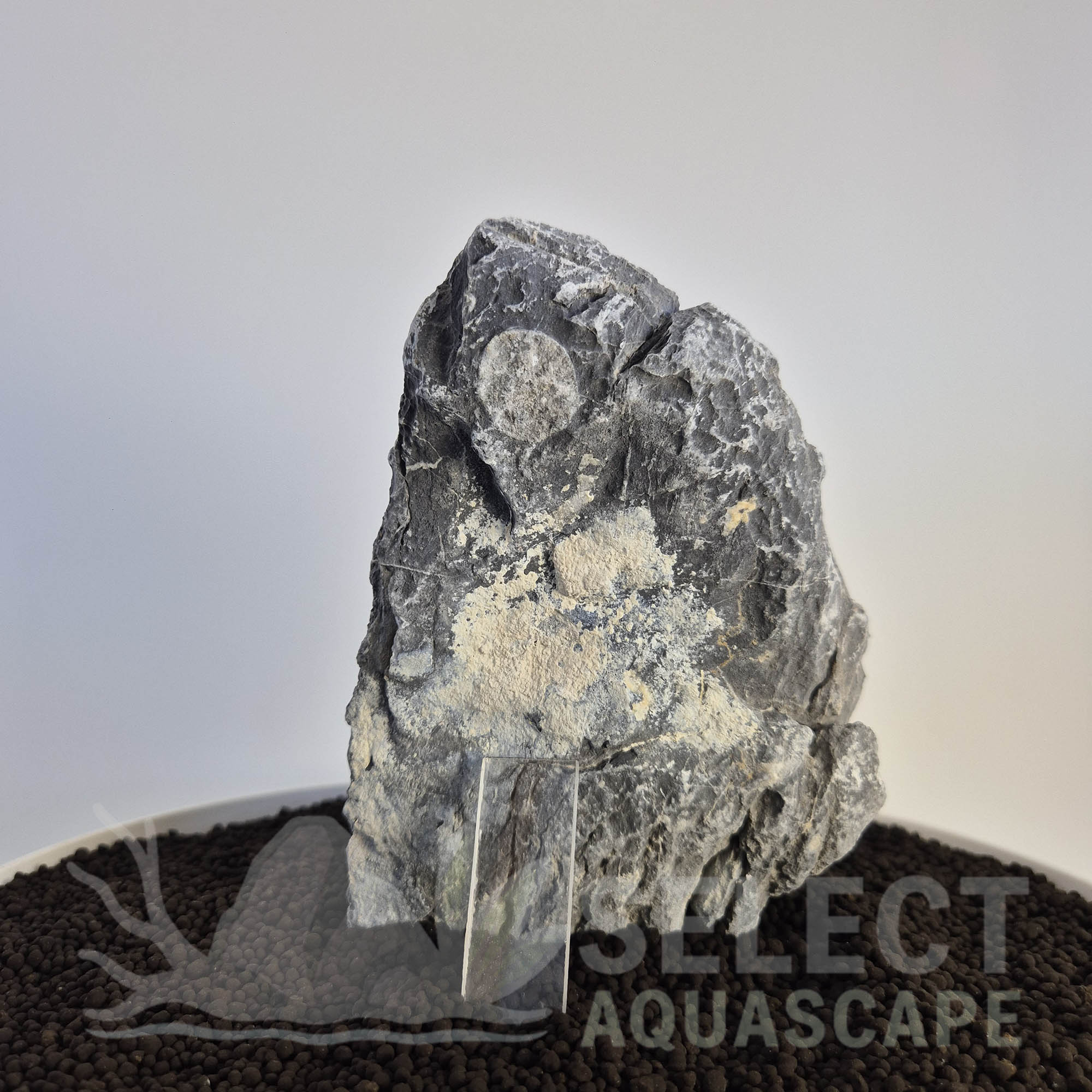 Select Piece of Natural Seriyu Stone for Aquascape