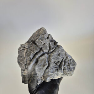 Select Piece of Natural Seriyu Stone for Aquascape