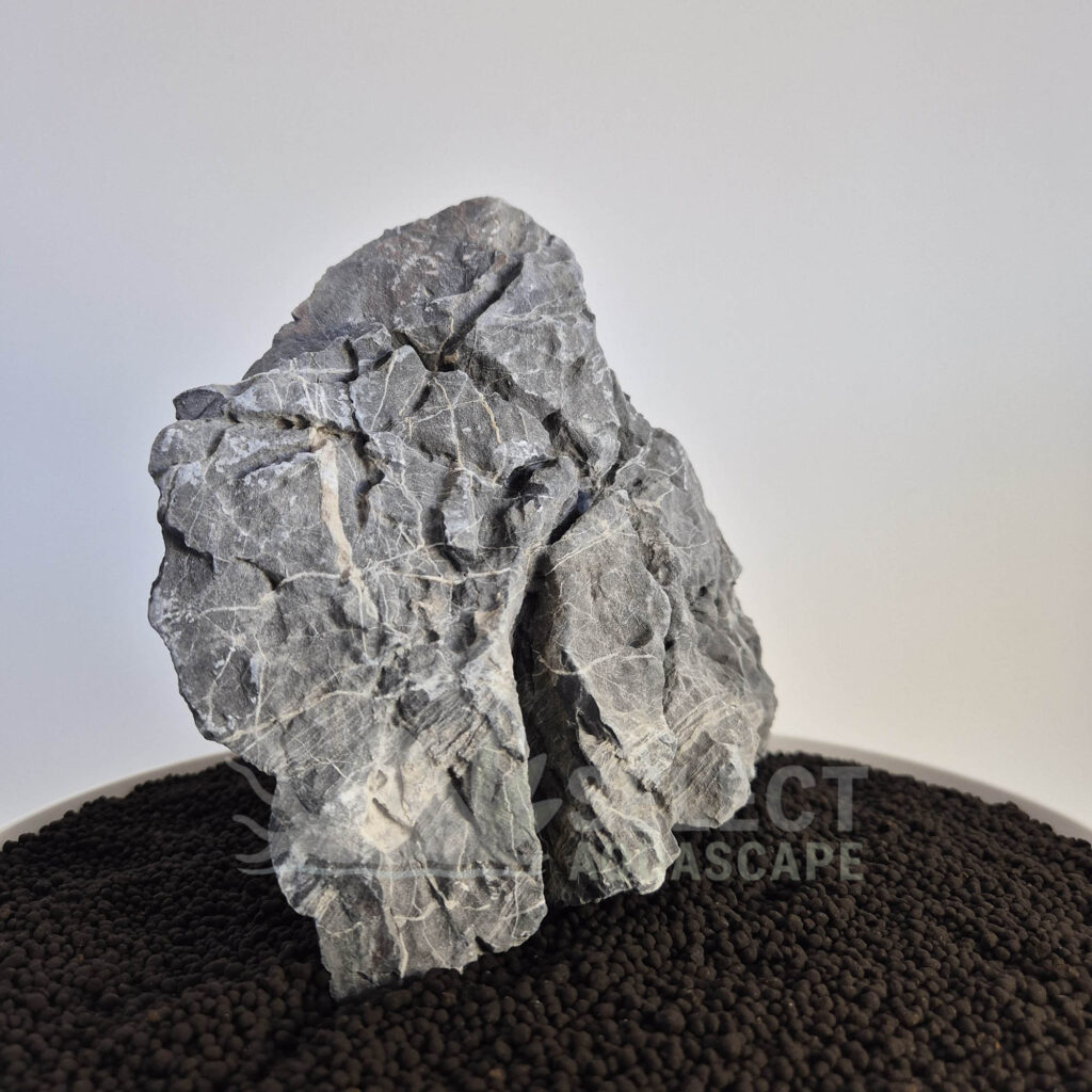 Seiryu Stone Select Piece 002