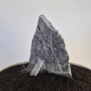 Select Piece of Natural Seriyu Stone for Aquascape