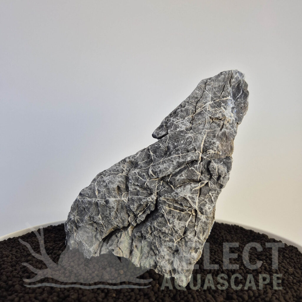 Select Piece of Natural Seriyu Stone for Aquascape