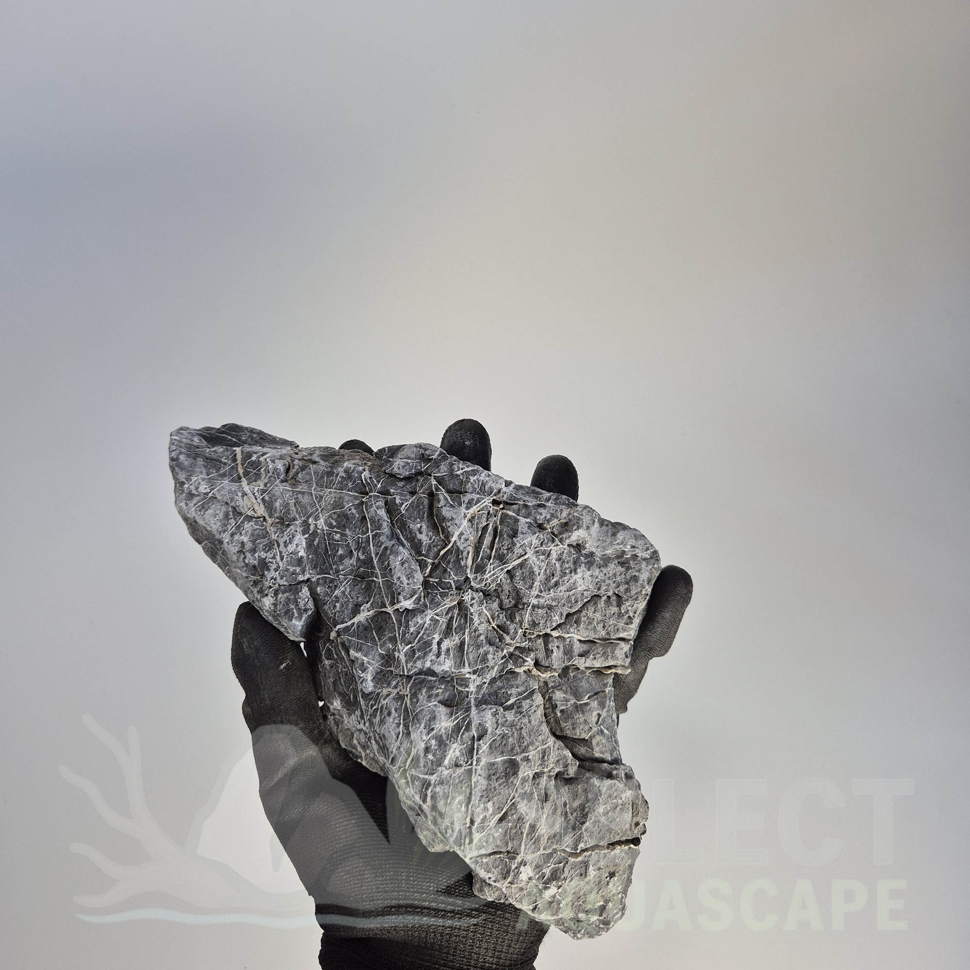Select Piece of Natural Seriyu Stone for Aquascape