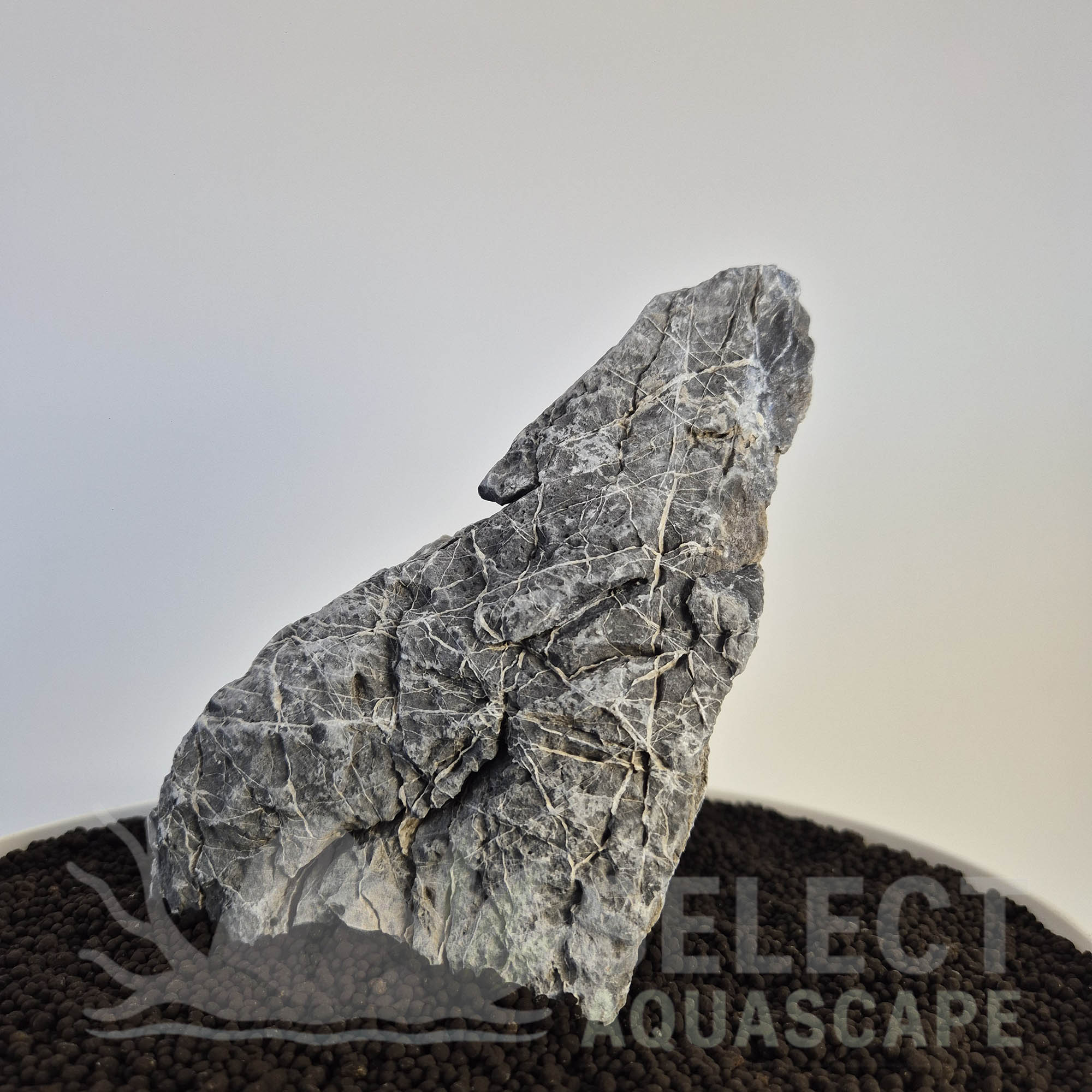 Select Piece of Natural Seriyu Stone for Aquascape