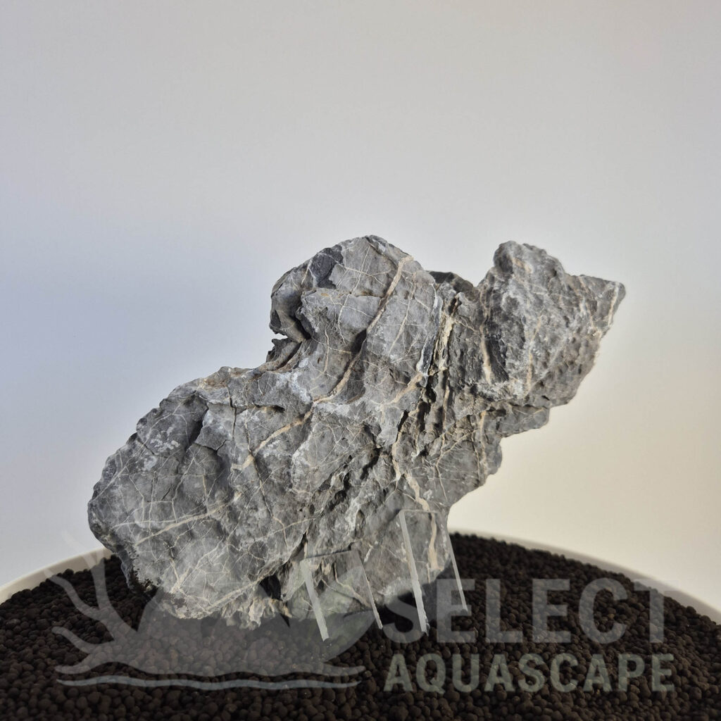 Select Piece of Natural Seriyu Stone for Aquascape