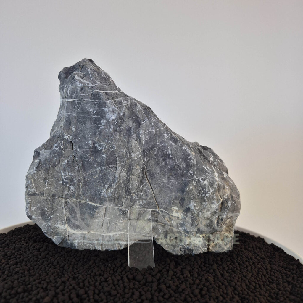 Select Piece of Natural Seriyu Stone for Aquascape